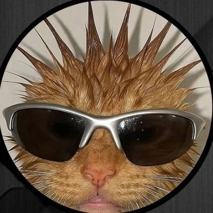 MfMj17's profile picture. #save_sudan ☠️.