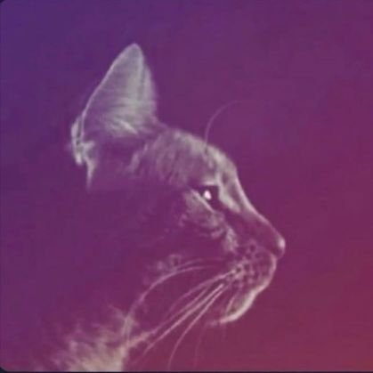 oranjpeg's profile picture. that fucking bird that i hate