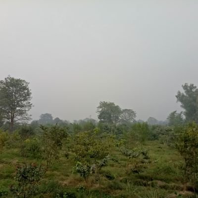 BareekB33n's profile picture. ...