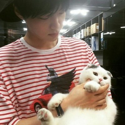 iinvvv3's profile picture. 울고 웃는 그런 나약한 인간일 뿐인데 대체 내게서 뭐를 더 바라나요