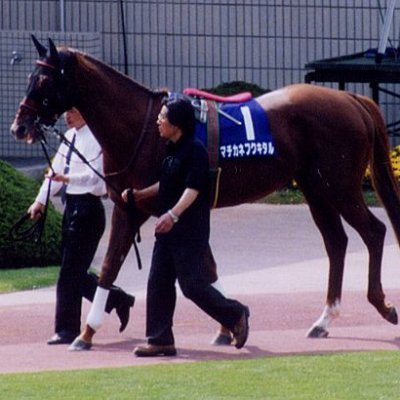 fuukerori's profile picture. I am definite and real! | please just call me fuuk or ori