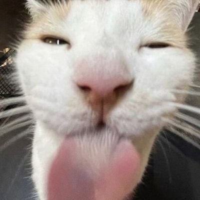 Theo71656640172's profile picture. join me discord https://t.co/hUmkt3sGpu