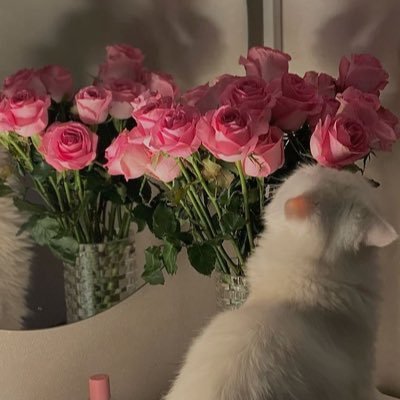 _7xen's profile picture. جامعة الكويت - كـلـيـة الآداب