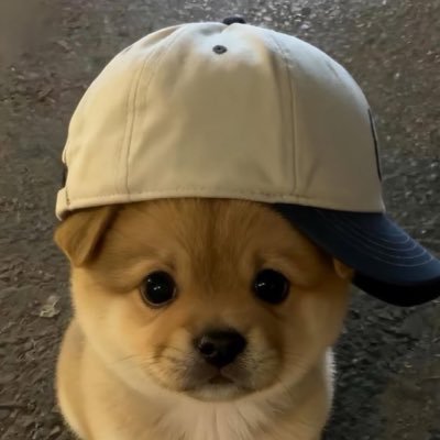 Be_BH_'s profile picture. 