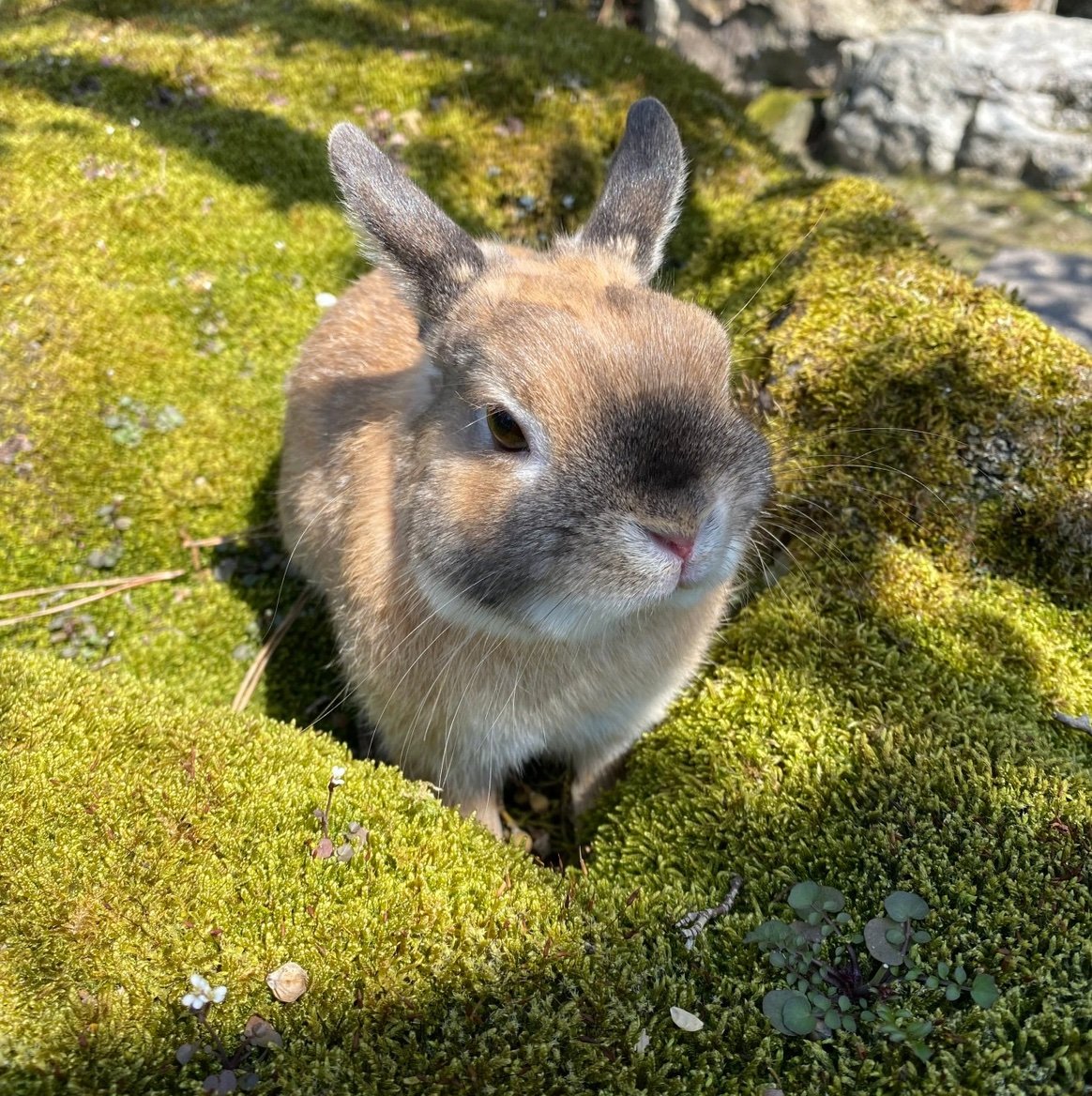 2plzx_IS's profile picture. 