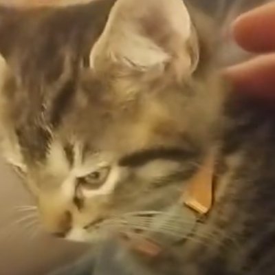 sinemApaci3's profile picture. 