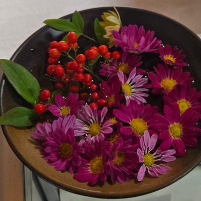 nanaluna19's profile picture. 歌が好きで堺で活動してる保育のうたごえ運動系合唱団所属してます。嵐ファン💏観光好き、カフェ巡り、歴史大河ドラマ好き(松潤どうする家康、光る君からはまったかも吉高由里子紫式部)ミュージカルも(井上芳雄ファンエリザベート、レミゼ)色々記事、まとまりないですが宜しく😃✌