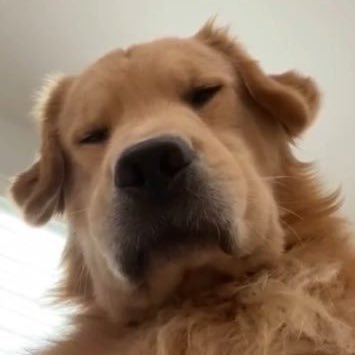 MP10321's profile picture. 