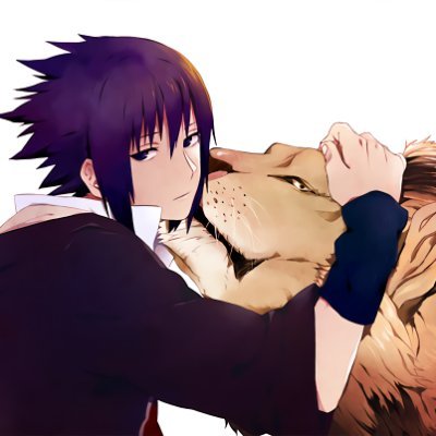 User_Franz's profile picture. 100X #SPX6900