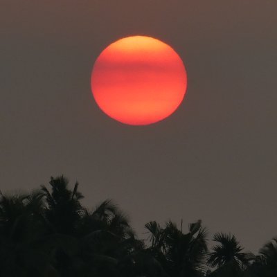 lunaticleanwitt's profile picture. Background pic is from Dr. Audrey Truschke's book, India: 5,000 Years of History on the Subcontinent.