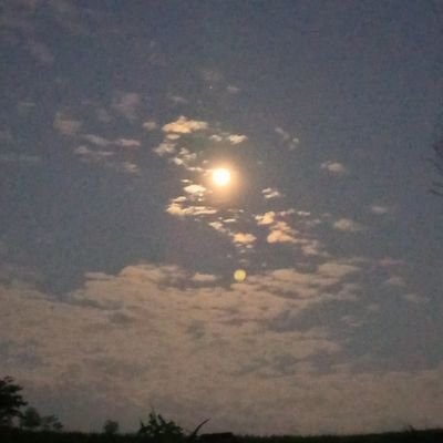 ZahraZirha's profile picture. blog