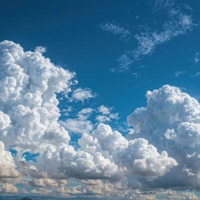 t_wish_0917's profile picture. ★長渕剛氏と矢沢永吉氏の唄を愛するトラックドライバー★好きなもの→だんじり、鉄道、車、景色
★嫁→@mahounekoyuki★#だんじり（鳳・八田荘中心） #長渕剛 #矢沢永吉 #競馬★風景とかの写真好き、RT多いです★