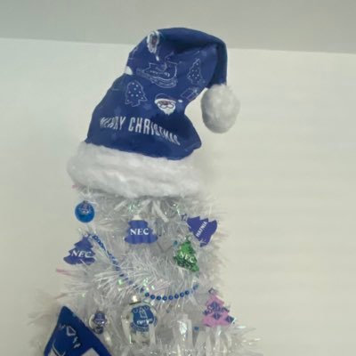 EvertonsToffee's profile picture. 💙Everton💙⚽️COYB⚽️Born not manufactured @everton