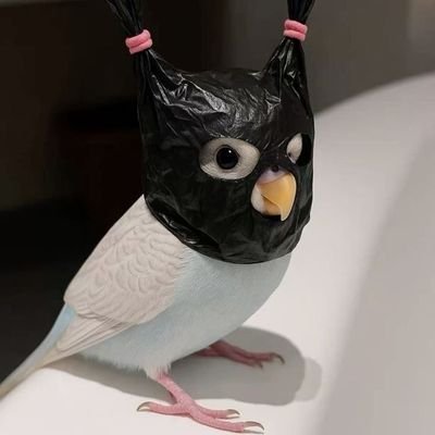 yevhen_kryvonos's profile picture. 