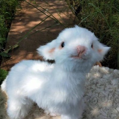 hxh__11's profile picture. 