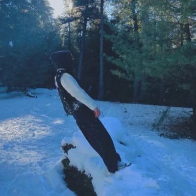 Zayn341279's profile picture. 