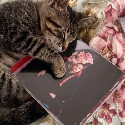 Rafaelp56872911's profile picture. 