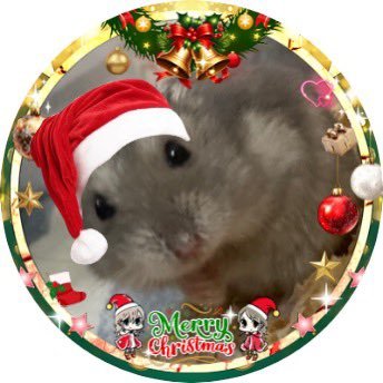 nozi0628's profile picture. 