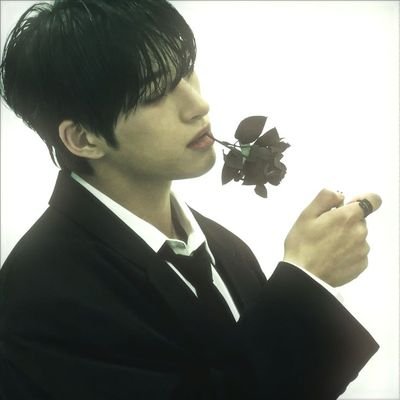 i187cm's profile picture. Fan acc.

Rolplayer

Dueño de una floristería  🇲🇽