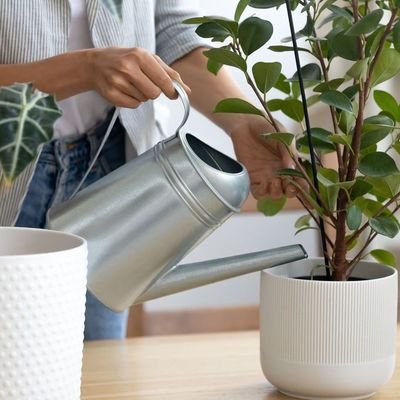 aKFCOPuDQhzqbNw's profile picture. (لاتحزن وربك الله )

للدعم والاعلان تواصل خاص 💌 (marketing ) 
 #Bitcoin   » You want to promote your account, leave me a private message»  Telegram 👇🏻