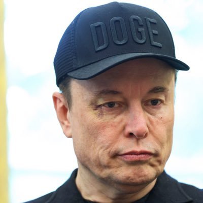 feli_pesoares's profile picture. 