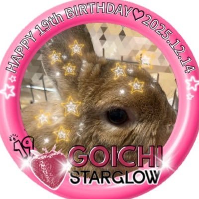 chomichomi34's profile picture. スタ💫大好き垢 ラスピスタートからアダム🐨の美しさと歌声に魅せられて💘さらに心の美しさを知ってトリコに❤️‍🔥FC加入⭐︎別界隈の住人で細々とポストしてましたがこれから大きい声で愛を叫びます🤩 🏷️ﾐｼｮﾐｼｮ参加の前田大輔くん🌚とアダムのお友達西山智樹くん☺︎も応援中(別垢 @okuoy029)