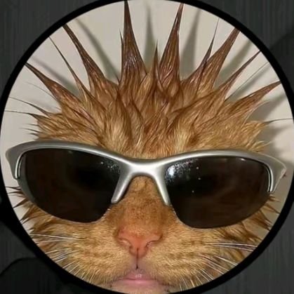 elhayatshehu's profile picture. All in one, one of one 💯💸. Crypto Enthusiast//Marketing//Building//Degen trader....DM for collabs🤝 persist forever🧲