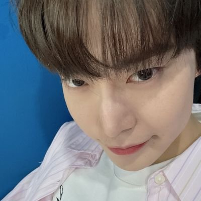 Dear__Peach214's profile picture. ғavorιтeᰔ
(｡◠‿◠｡)❤(ᓀ‸ᓂ)