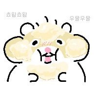 Luclim07's profile picture. 