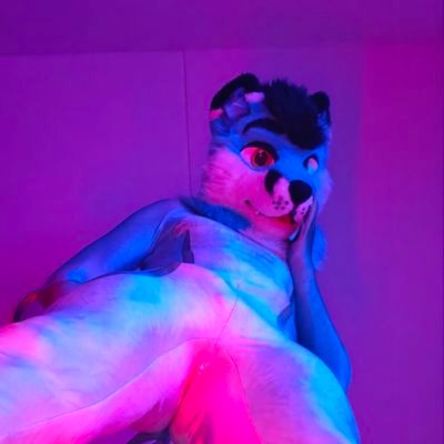 pulikkafterdark's profile picture. Foxslut🦊💦 | Bi | Switch | Main: @pulikkka |🔞Only +18🔞 | Maws🦷👅| Petsuit obsession🥴