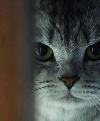 Zodri993's profile picture. Борбае