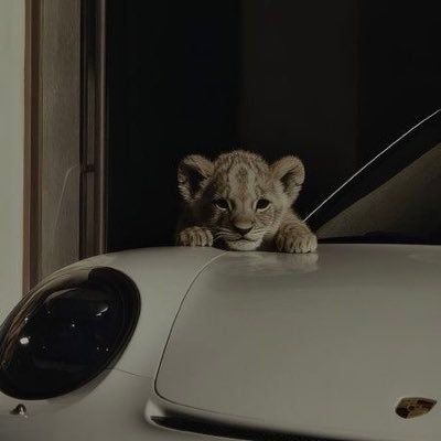 Xom_music's profile picture. xom community page and music