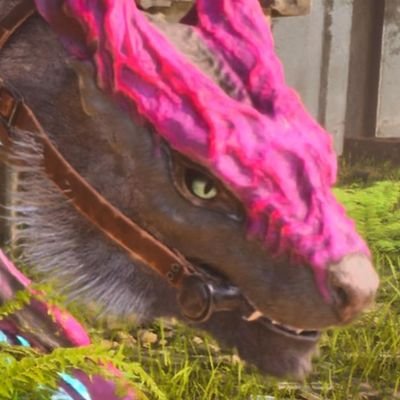 Oniku_877's profile picture. 18↓
フォロバ120%