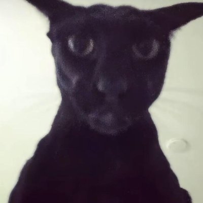 AmineLaa3's profile picture. software engineering student | lazy passionate dev