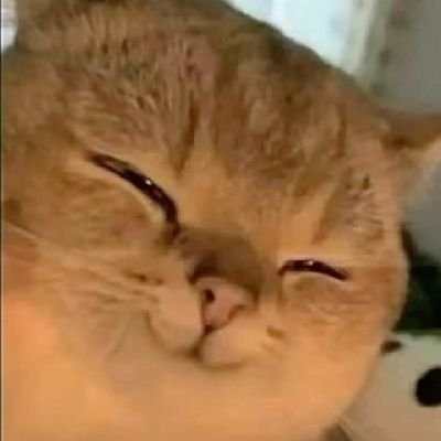 ZaareTaminPar's profile picture. Port Blair 🔄 Delhi