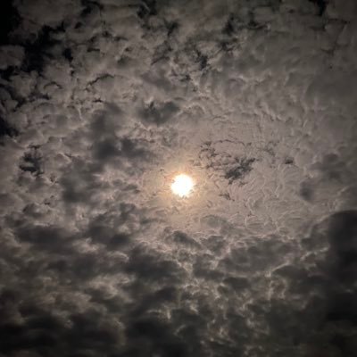 JieJie14465290's profile picture. 