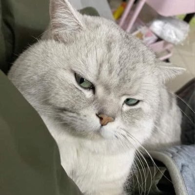 Agape_hms's profile picture. Caprice our bebe