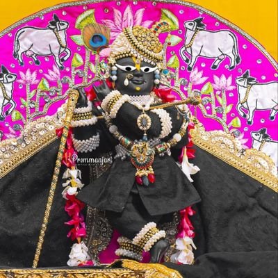 IamVinayak10's profile picture. 