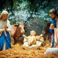 jean luc (@luc3807luc) 's Twitter Profile