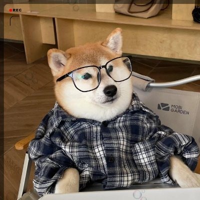 work_doge_bsc's profile picture. 上班狗，挤地铁，周一又开工。$上班狗 诉说打工人的心酸与无奈

12月1日晚上10点发射起飞