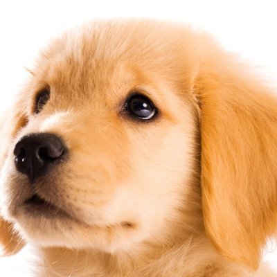 DsMAUW1d3E59932's profile picture. 