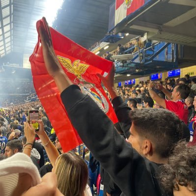 PedrodoBSJ's profile picture. Ateu praticante, doente pelo Benfica e isto são coisas que não gosto assim tanto ...