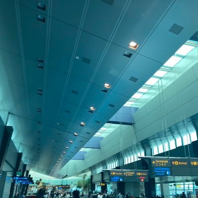 harugaru14530's profile picture. 💩