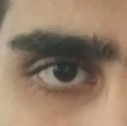 TheRockyPop's profile picture. Pro Life. Free Speech. Indian by virtue. Hindu by values. Morality is subjective. Dharma is Supreme. Shudra Supremacy. Right Libertarian. Sindhi. #Remove295A