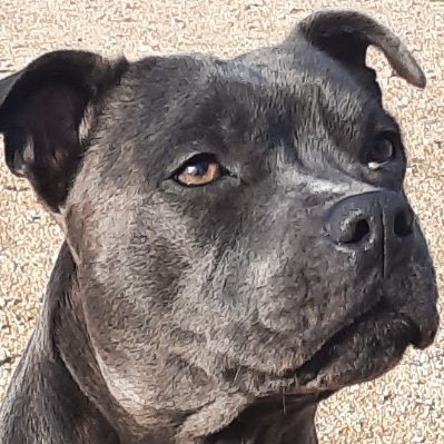 adamadel201362's profile picture. عادل درويش  مدرس جغرافيا   جامعة اسكندريه