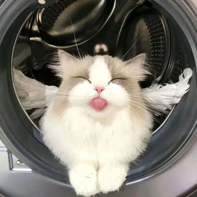 Rizzlord789's profile picture. what will be , will be