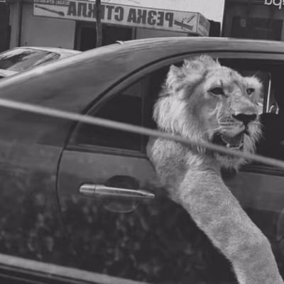 __IsanjaI__'s profile picture. TopMount🔍