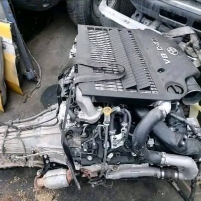 gasolinaowl's profile picture. In GOD WE TRUST ᴾ///✠♱✠PETROL EST VITA✞✞✞///

𓅓
influencer//

Server rentals//

 Chess Grandmaster//

//FOG// Responsible gun owner 𓄃.