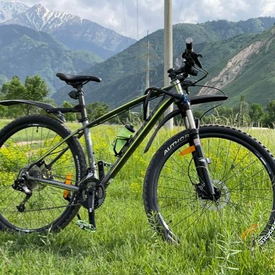 nmt0786's profile picture. I’m angry