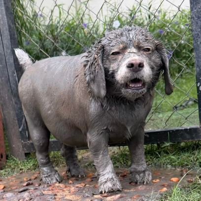 Luckykeek's profile picture. 